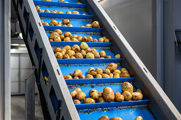Eliminating Bottlenecks in Conveying Systems