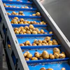 Eliminating Bottlenecks in Conveying Systems