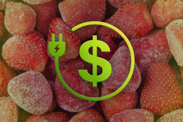 How Titan Frozen Fruit Cut Energy Costs by Over 50%