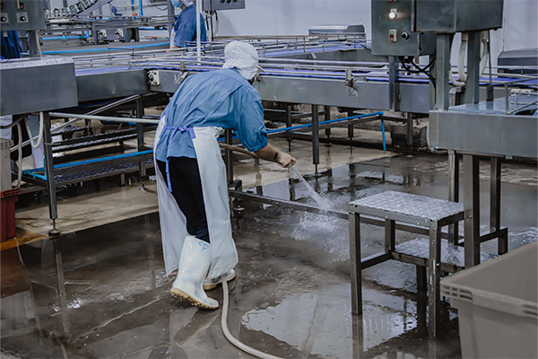 Gear Reducers for Harsh Food Environments