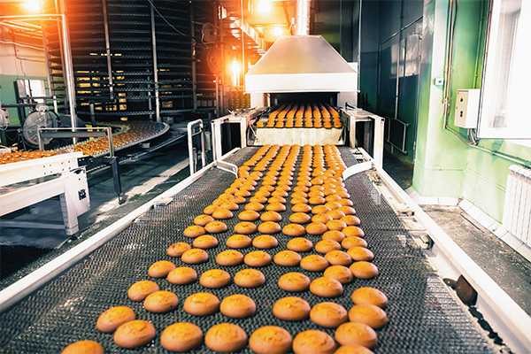 Key Considerations for Gear Reducers in Food Processing